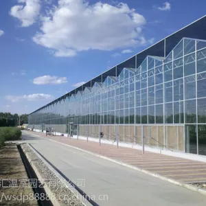 建造智能化温室大棚/16米大跨度/玻璃温室