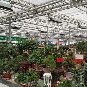 江苏|南京|无锡|徐州|常州|苏州|南通连栋智能玻璃温室大棚设计建造