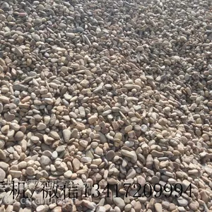 ��Ȼ����ʯ ˮ��������ʯ��� ԰����·װ�ζ���ʯ �����ȫ