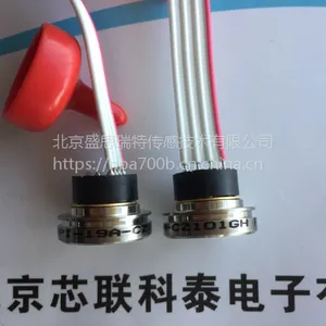 NPI-19A-CZ701AH���ͻ�ϵͳ316�����ѹ���������ͳ��100g