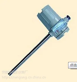 活络管接头式热电偶WRNB-54AM,WRNB-54AS