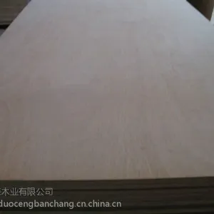 ��о������ ���彺�ϰ� 6mm���ľ��� ��װ���̶���