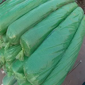 ����·�������� ���������� ����������