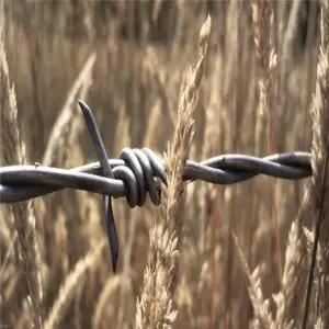 ����Χ�� ������ô��װ ***��Ƭ����