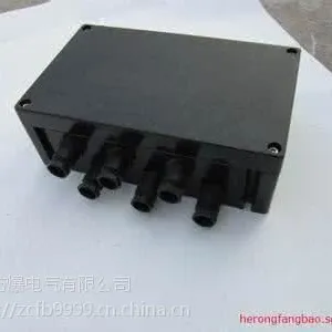 FeJX防爆防腐接线箱