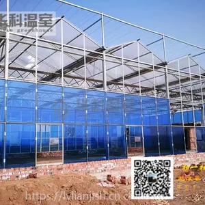 河南温室大棚|蔬菜大棚|钢结构大棚设计安装