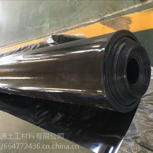 中卫污水池固废填埋防渗土工膜