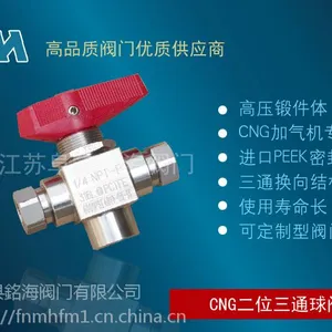 不锈钢加气机枪阀_二位三通式枪阀
