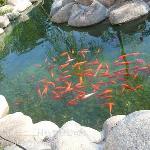 鱼塘藕池hdpe防水布防水效果好