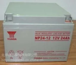 喀什市汤浅蓄电池12V100AH/NP-100免维护UPS/EPS专用蓄电池