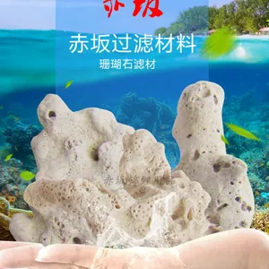 鱼池过滤珊瑚石丨鱼池生化滤材丨水族器材丨珊瑚砂 25KG