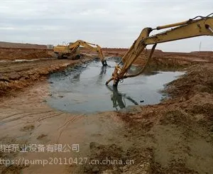 大型沉淀池泥浆泵/沉淀池抽渣泵/沉淀池吸泥泵