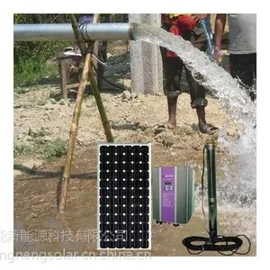 河北廊坊廊能太阳能水泵光伏水泵太阳能扬水系统农业灌溉 交流潜水泵750W
