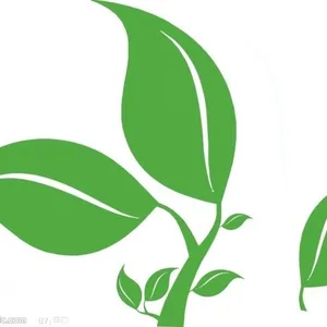 亳州市谯城区药美种植专业合作社
