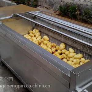 供应莲藕去泥毛辊清洗机 大姜毛辊清洗机 1500型毛辊清洗机 诚品机械厂家