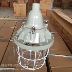 防爆投光灯400W 全国包邮腾达圆形250W金卤灯防爆投光灯