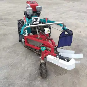 �����������ջ����ʥ³��������ʽ�������ջ�� ��