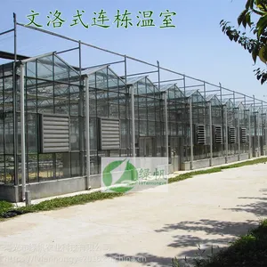 供应智能连栋温室骨架材料 智能育苗玻璃温室 阳光板温室 施工