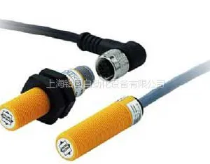 �¹�����SCHLEICHER����ϵͳ��DZR52-SL 0.1s-30h AC230V/50Hz