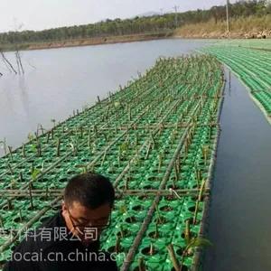 人工生态浮岛人工生态浮床植物种植浮岛水生植物浮床生物浮岛