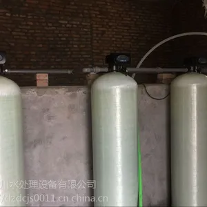 供应德州10吨/小时自来水自动除氟设备