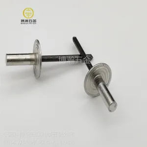 现货供应大帽沿铝抽芯铆钉封闭型防水大帽拉钉