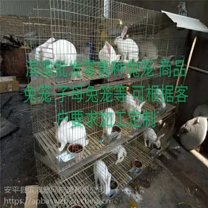 供应山东济宁鸡鸽兔笼 群鸟笼 鹌鹑笼 八哥笼 运输宠物笼 仓鼠笼 运输筐 折叠笼