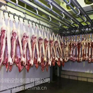 肉类冷藏库 温州肉类冷藏库安装 环通厂家直销冷藏库