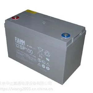 ***蓄电池12FLB100网上直销