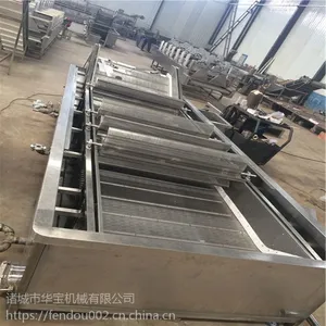蘑菇清洗机 全自动蔬菜清洗机
