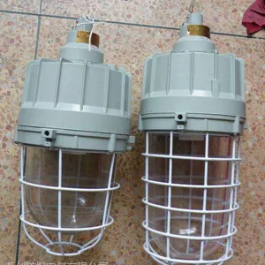 BAD-200系列隔爆型防爆灯