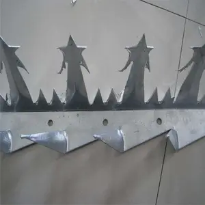 ***С�������� ��пΧǽ�̶� ��������