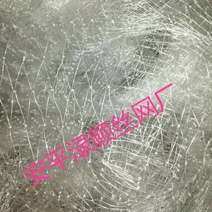 水稻防鸟网@鹰潭水稻防鸟网@水稻防鸟网直接生产厂家