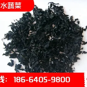 〈琦轩食品〉洋葱粉欢迎订购 洋葱粉质优价廉