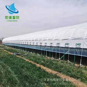 散养鸭棚搭建 养鸭棚每平方造价 鸭舍大棚施工厂家