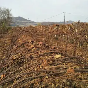 �����̹� 3-6�������������� ����ռ��3-2���ִ��������� ���������
