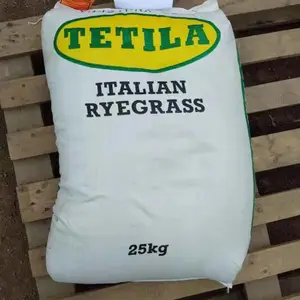 ���� ����ӱ��ƺ��Ƥ ��԰�ܵ�ͥԺ�����̻� �ٳ������ò�