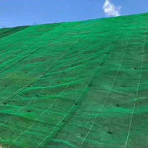 边坡绿化植物网垫植草护坡土工网立体喷播草籽EM3三维植被网