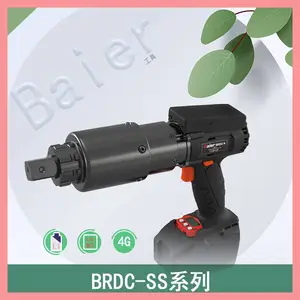 �ݶ�﮵�ʽ����BRDC-SSϵ��С������4G������Ʒ