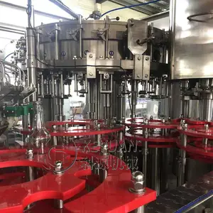 ȫ�Զ�����ƿ��ζ��ˮ�������豸 ̼�����Ϲ�װ��DGF-24-24-8