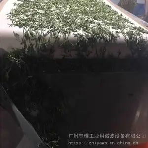 ΢���ڲ����豸,΢���ڲ�ɱ���,�ڲ�΢�������豸