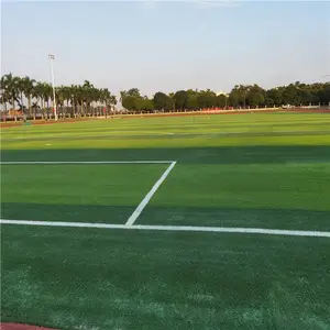 ���������˶����ڸ�װ���˹��̻��ٲ�Ƥ������ֲ����ٲ�ƺ�ص�