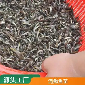 �����ֹ�������������***��/̨���������������ء���������������̴�������