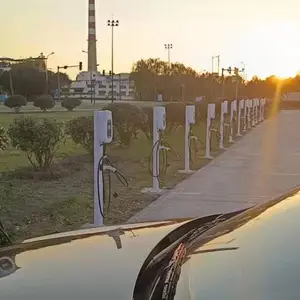 �������׮��Ӳ����������