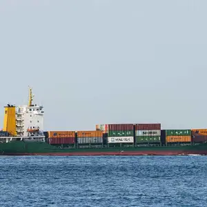湖南桉树油国际海运危包货代