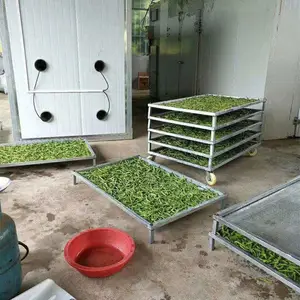 空气能豆角烘干房供应商-豆角烘干房供应商-迈特思机械设备公司