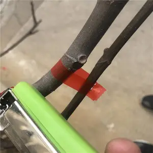 �¿�ƶ������� �ֶ����������� ��ɫ���Ͱ�֦�����ط���