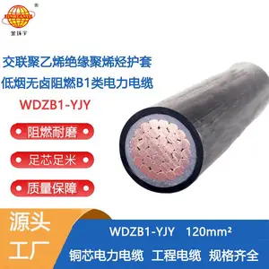 金环宇电线电缆 铜芯低烟无卤电缆WDZB1-YJY 120平方 B1类阻燃交联电缆