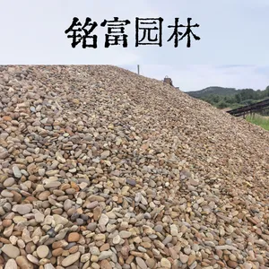 鹅卵石选铭富园林，源头石场鹅卵石直 销80元一吨，万吨鹅卵石现货