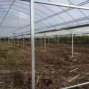 ���������������ɱ���� ��������ּܼ۸� ˿�ϴ��� �����������